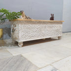 hand carved blanket box, antique wooden trunk, whitewashed blanket box, storage chest, tribal carved box, blanket trunk, linen chest, indian furniture, bedroom blanket box, living room trunk, entryway chest, storage bench, coffee table trunk, handmade blanket box, artisan made trunk, reclaimed wood chest, antique wood furniture, quality wood furniture, durable trunk, sturdy blanket box, timeless chest, elegant trunk, statement blanket box, heirloom chest, coastal trunk, shabby chic blanket box, farmhouse ch