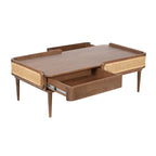 Linea Coffee Table | Handcrafted Mango Wood & Cane Living Room Table | Living Furn India
