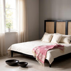 Noir Cane Bed | Handcrafted Black Mango Wood Bed with Three Cane Panels | King Size | Living Furn India