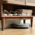 Shoe Cabinet Solid Walnut Cane Door - rattan cabinet