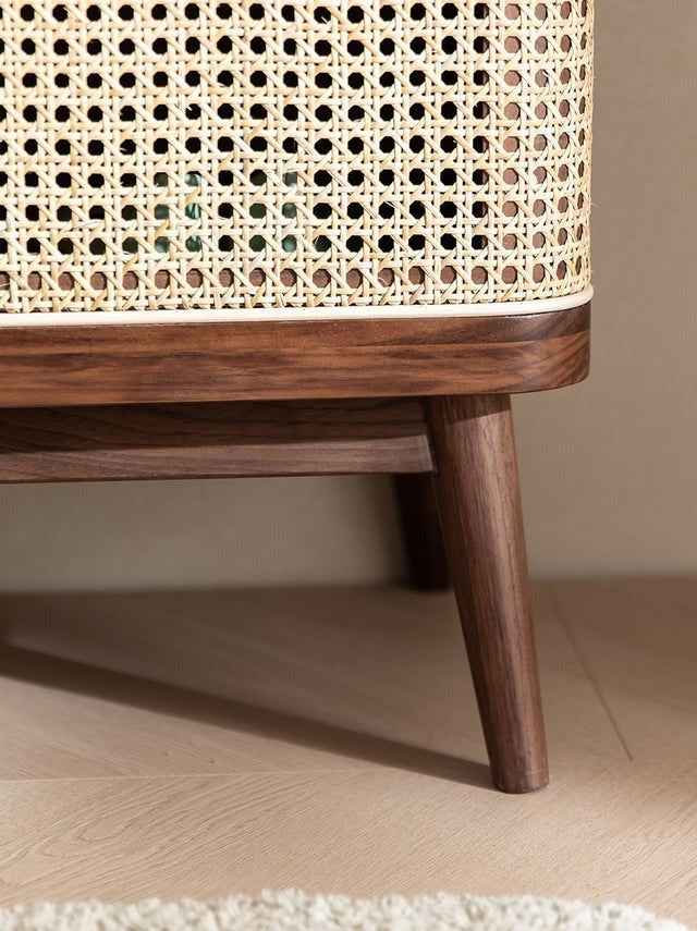 Shoe Rack Cane Door & Solid Wood Rattan cabinet