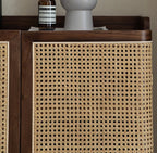 Shoe Rack Cane Door & Solid Wood Rattan cabinet