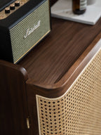 Shoe Rack Cane Door & Solid Wood Rattan cabinet